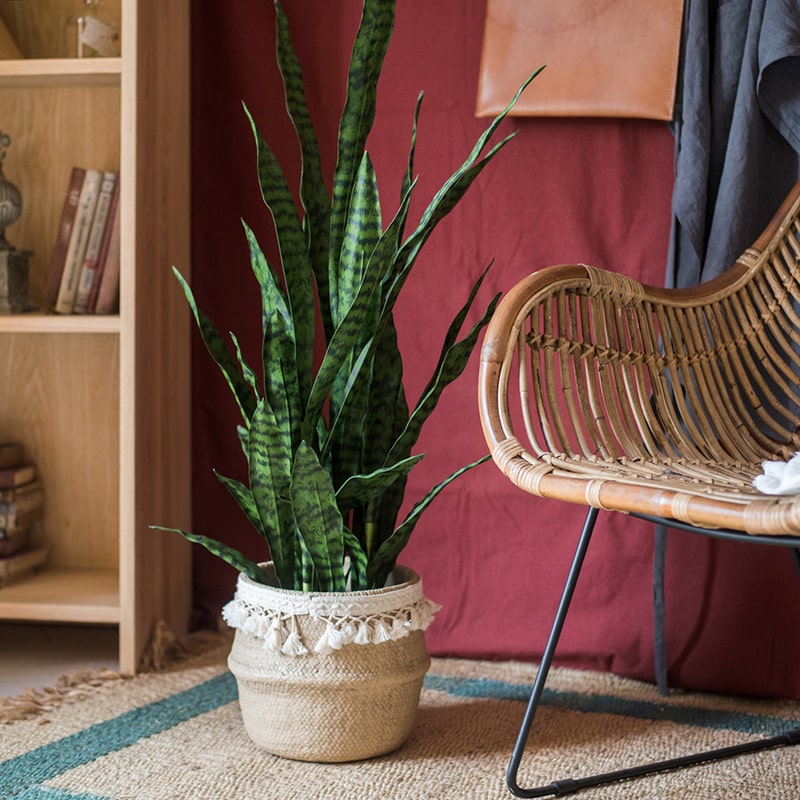 Artificial Green Snake Plant In Pot