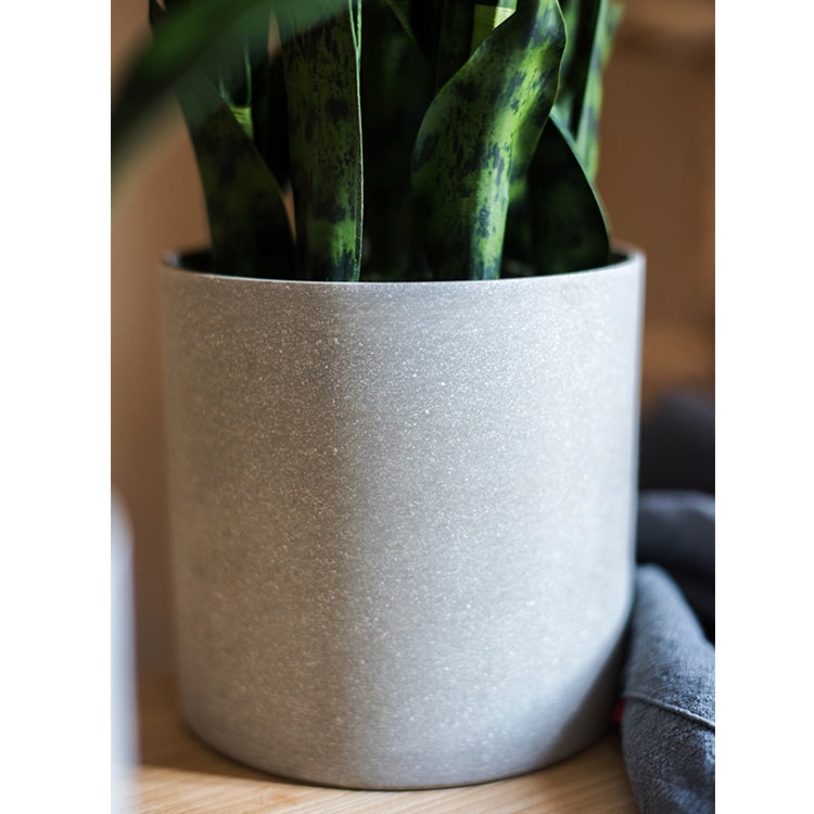 
                      
                        Artificial Green Snake Plant In Pot
                      
                    