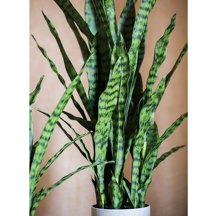 
                      
                        Artificial Green Snake Plant In Pot
                      
                    