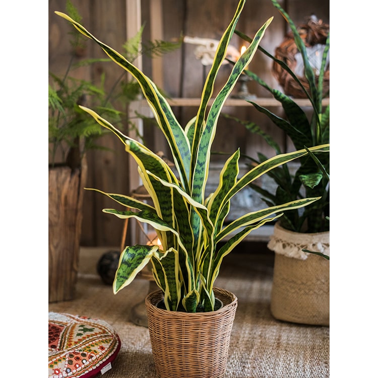 
                      
                        Artificial Yellow Edged Leaf Snake Plant in Pot
                      
                    