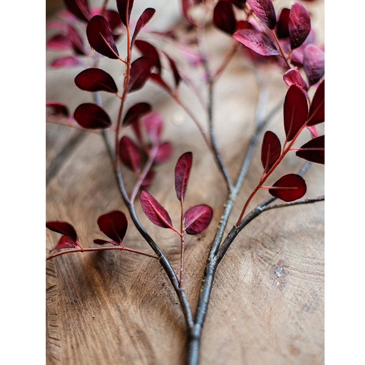 
                      
                        Artificial Faux Red Tzu Tan Leaf Stem 42" Tall
                      
                    
