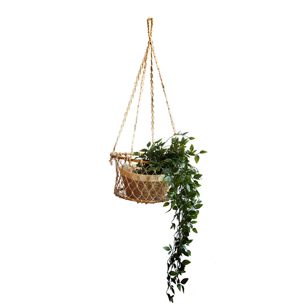 
                      
                        Jhuri Single Hanging Basket
                      
                    