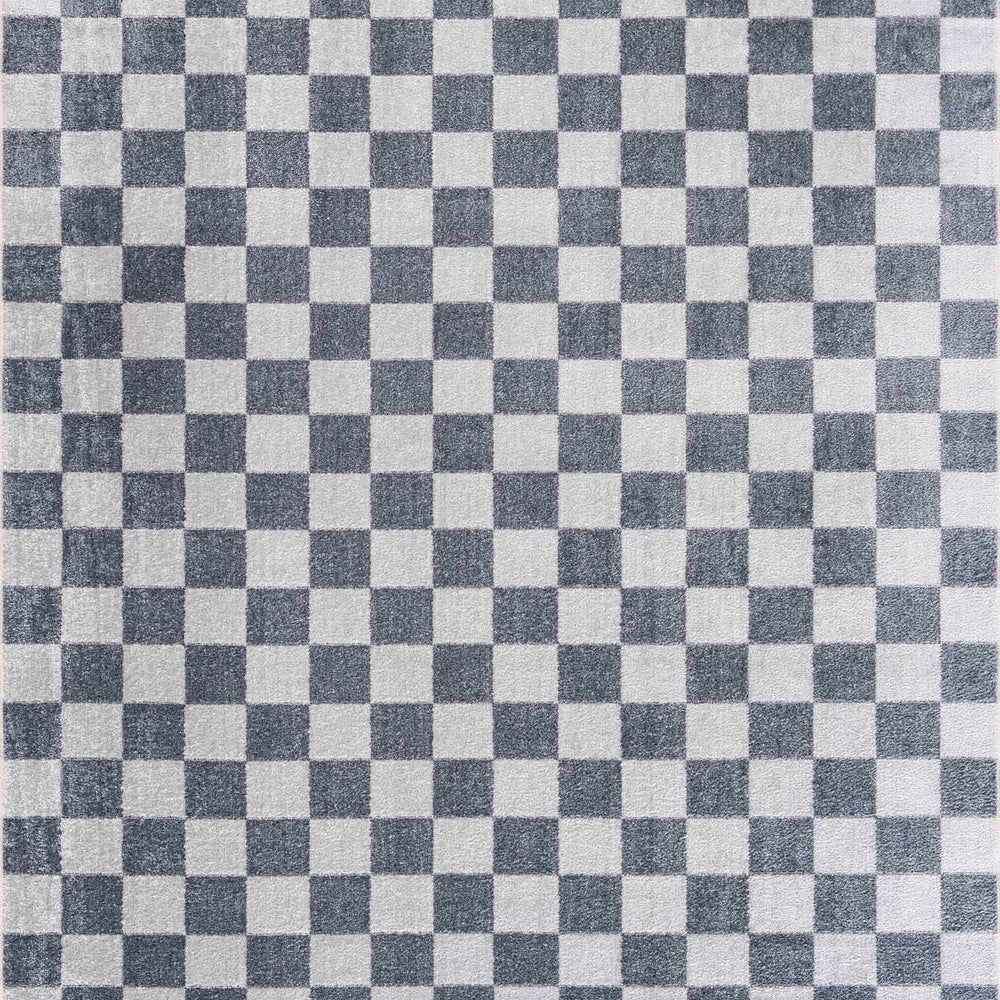 Alie Blue Checkered Area Rug