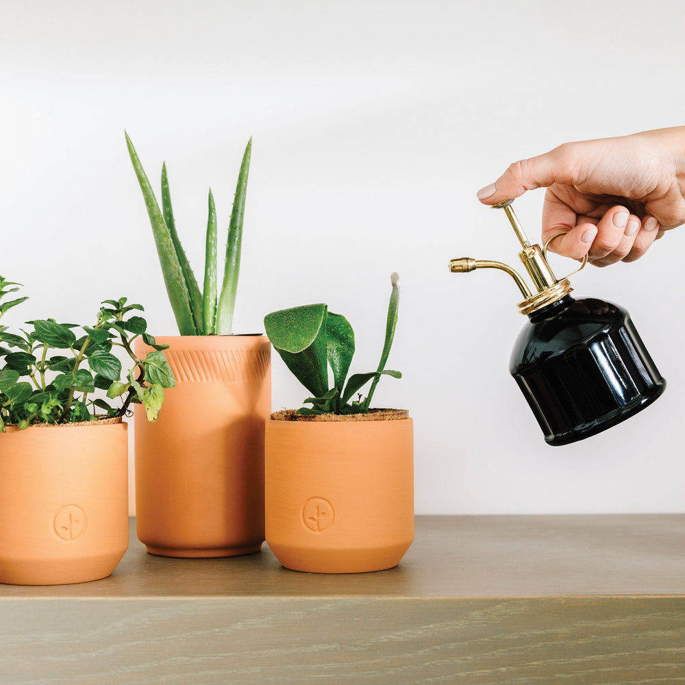
                      
                        Plant Misters
                      
                    