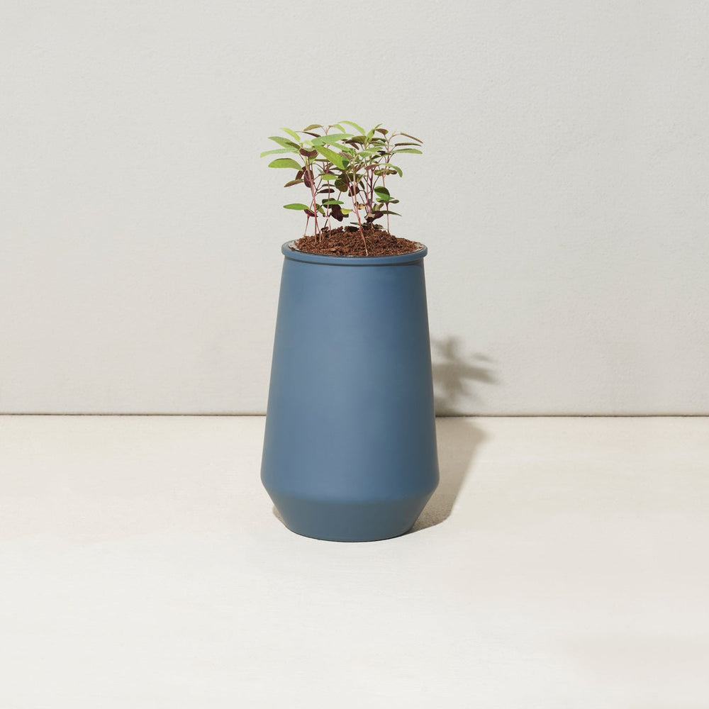 
                      
                        Tapered Tumbler Grow Kits
                      
                    