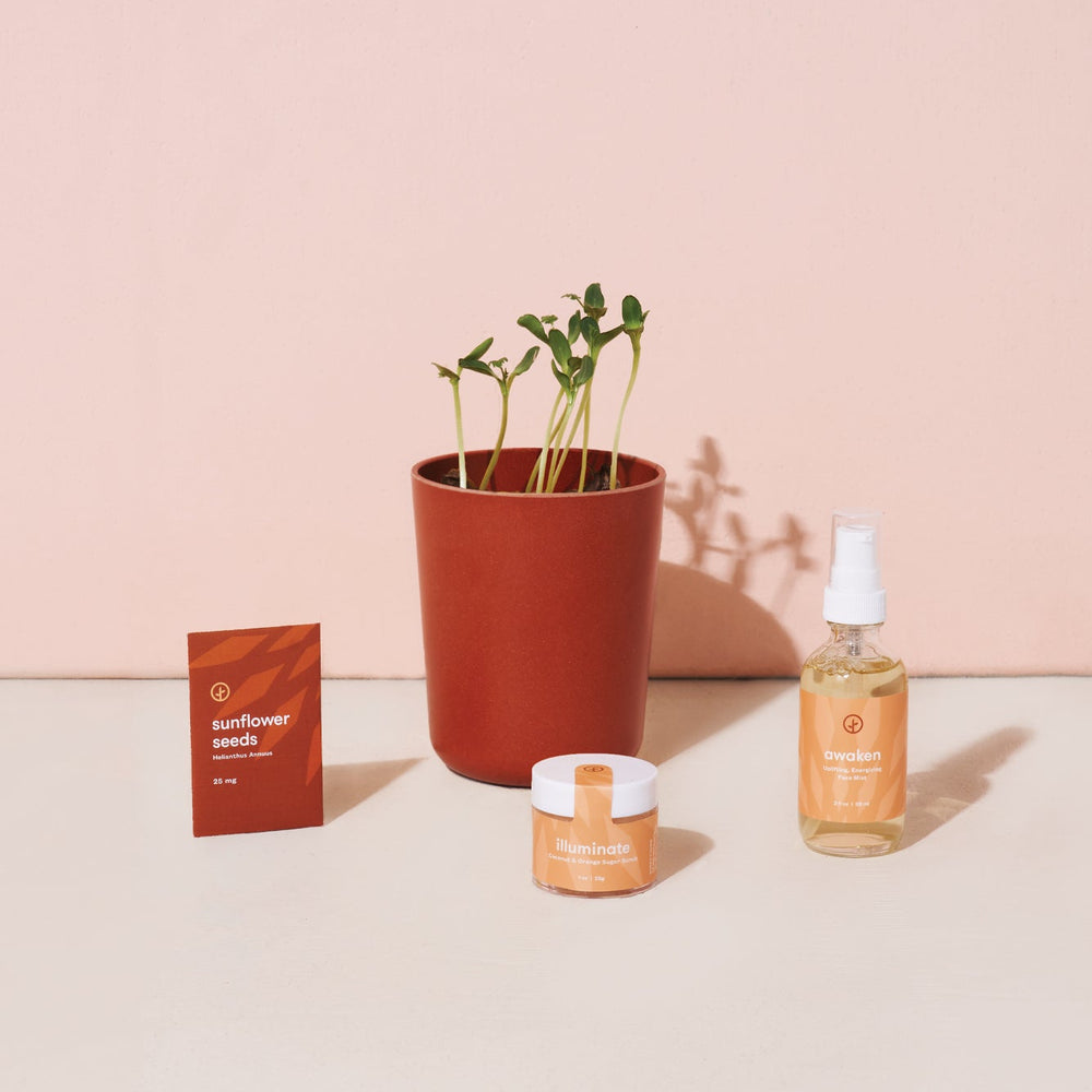 Shine Bright - Radiant Positivity Kit