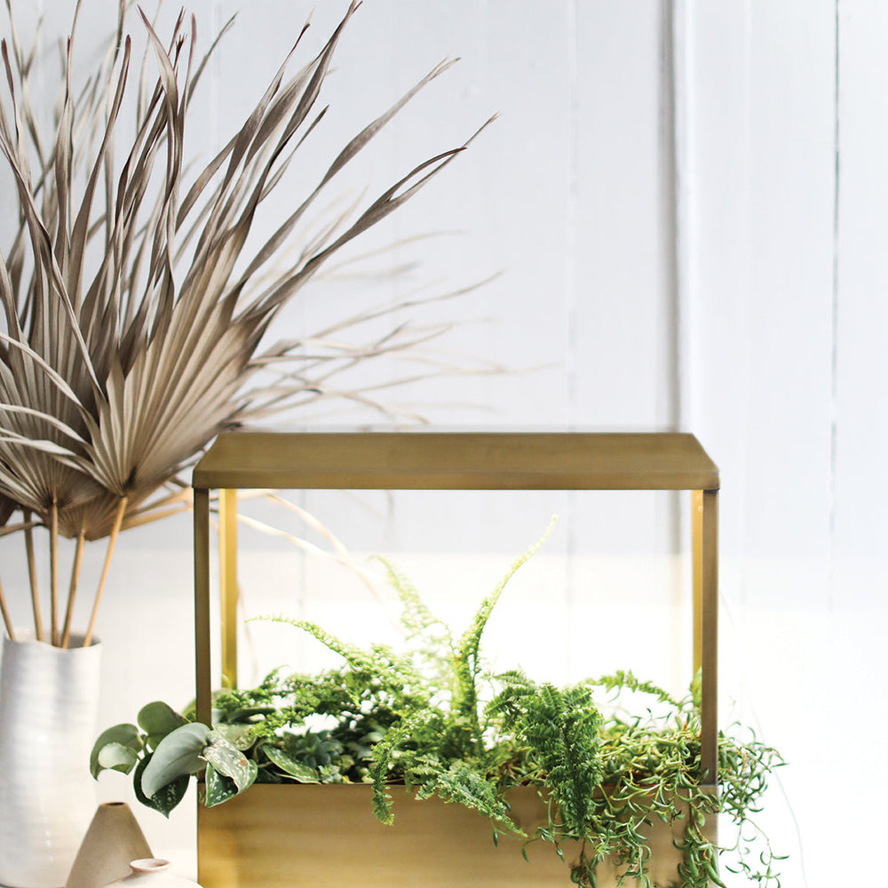 
                      
                        Smart Growhouse
                      
                    