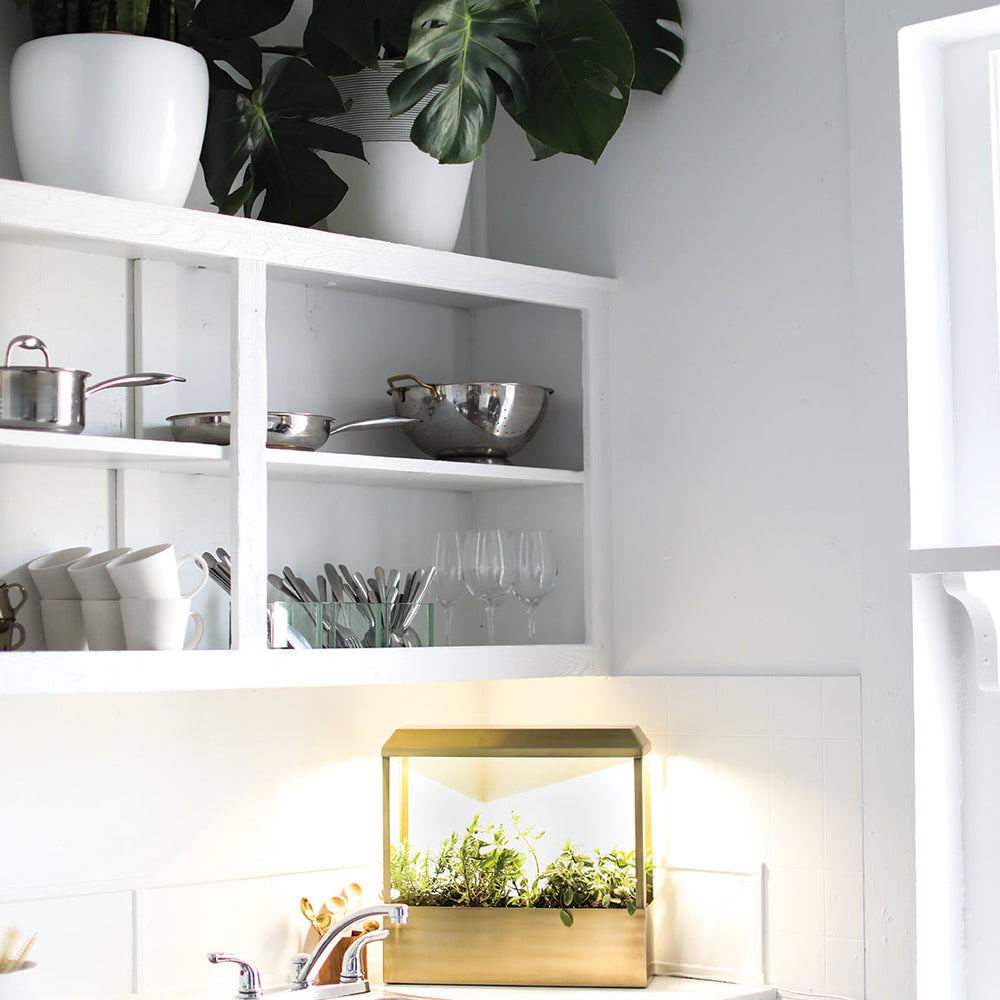 
                      
                        Smart Growhouse
                      
                    