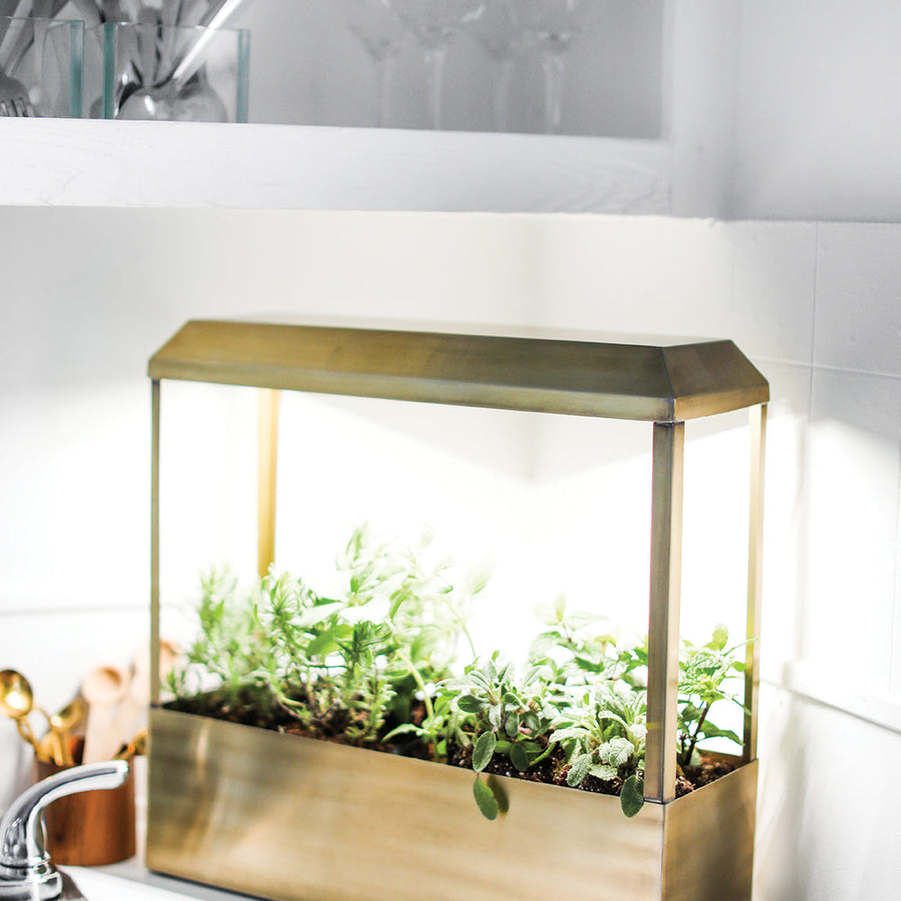 
                      
                        Smart Growhouse
                      
                    