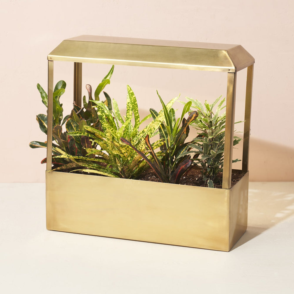 
                      
                        Smart Growhouse
                      
                    