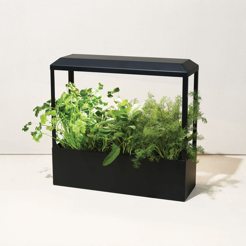 
                      
                        Smart Growhouse
                      
                    