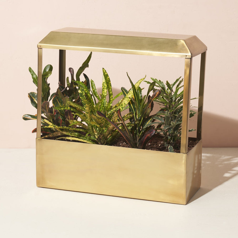 
                      
                        Smart Growhouse
                      
                    