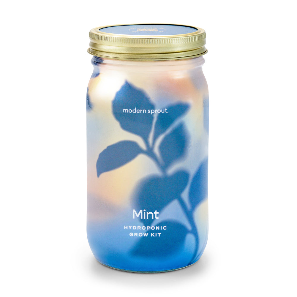 
                      
                        Garden Jars - Organic Herbs
                      
                    