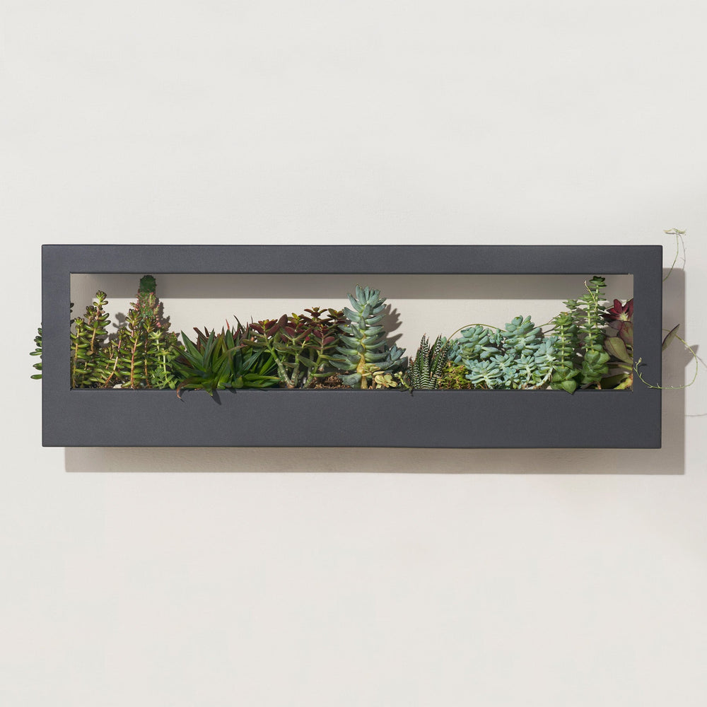 
                      
                        Smart Landscape Growframe
                      
                    