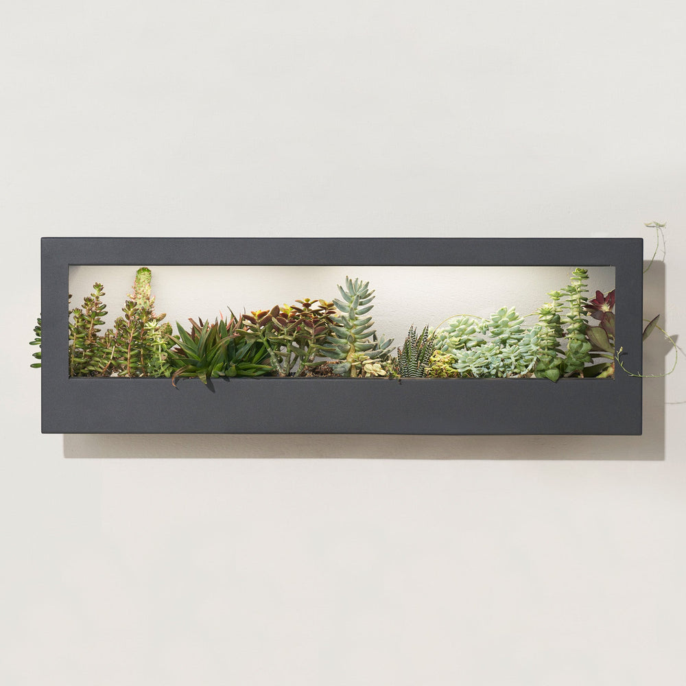 
                      
                        Smart Landscape Growframe
                      
                    