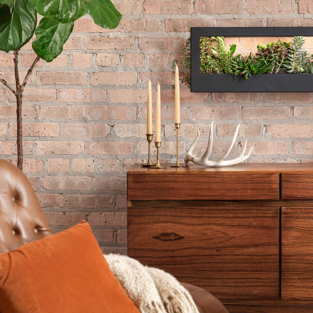 
                      
                        Smart Landscape Growframe
                      
                    