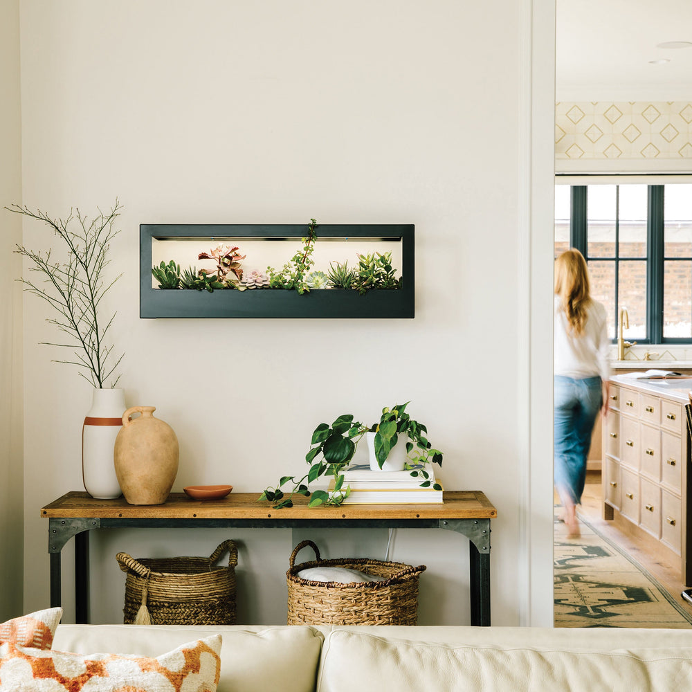 
                      
                        Smart Landscape Growframe
                      
                    