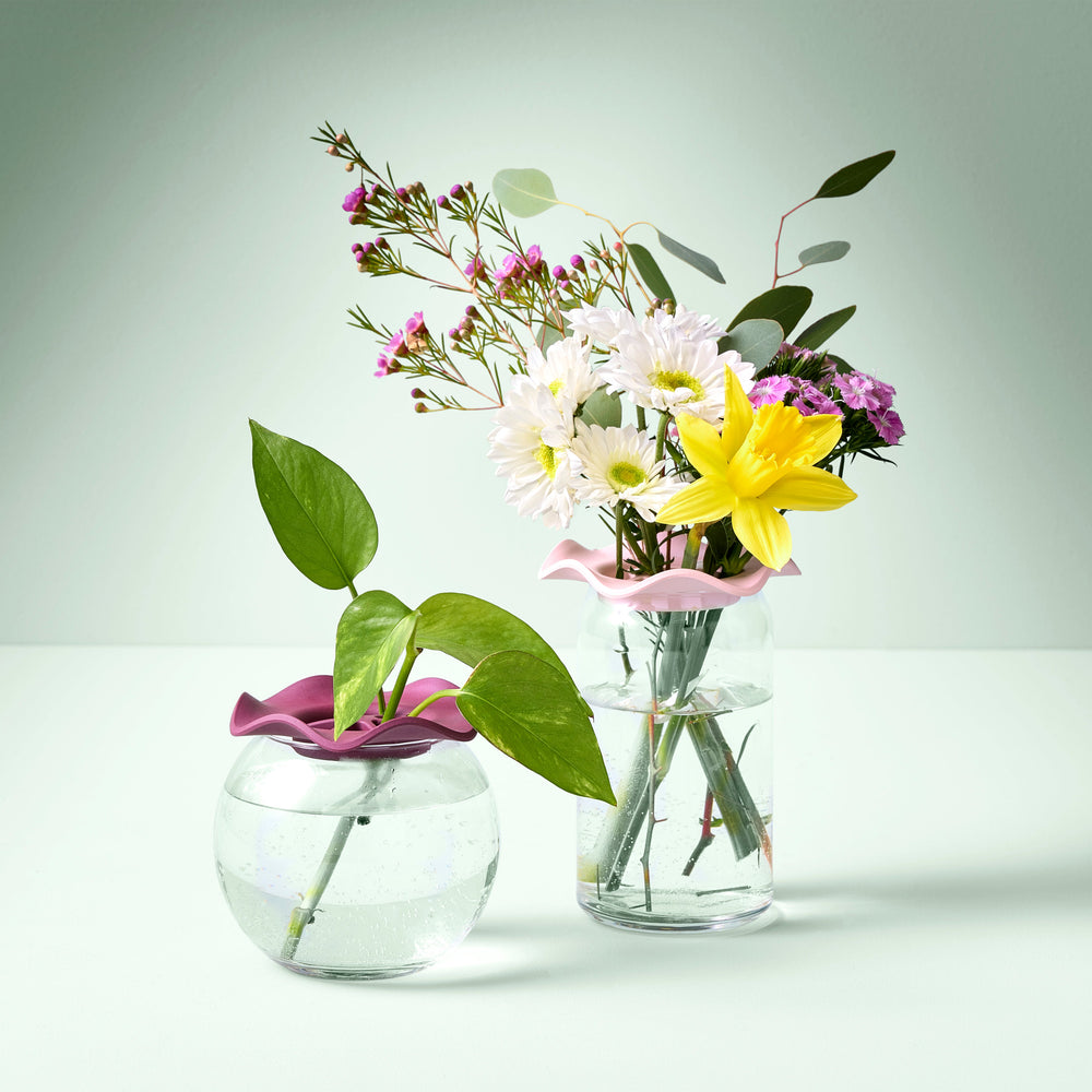 
                      
                        Botanical Keepers, Set of 2
                      
                    