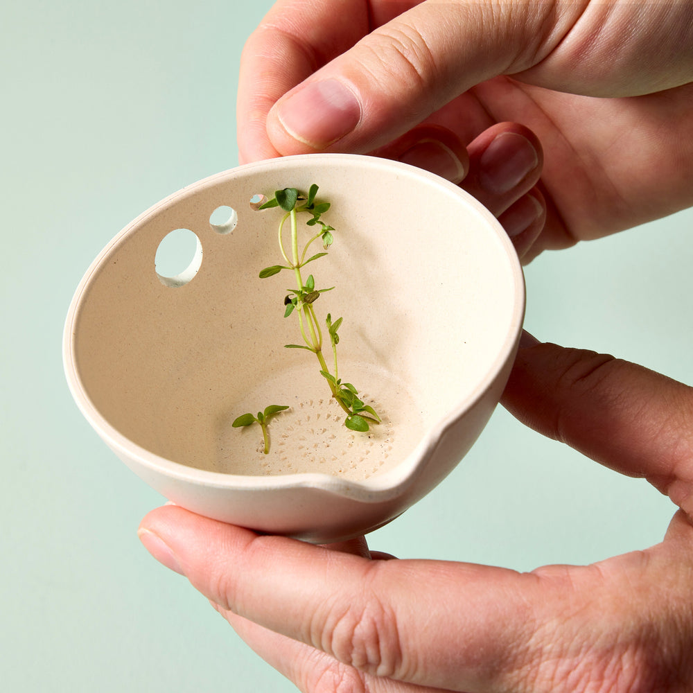 
                      
                        Peel, Grate & Prep Dish
                      
                    