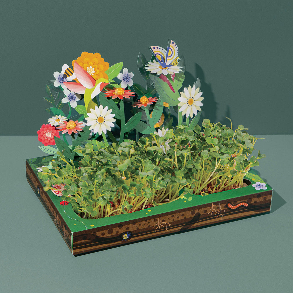 
                      
                        Microgreens Pop-Up Kit
                      
                    