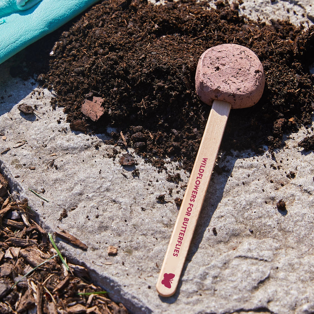 
                      
                        Seed Pops - Garden
                      
                    