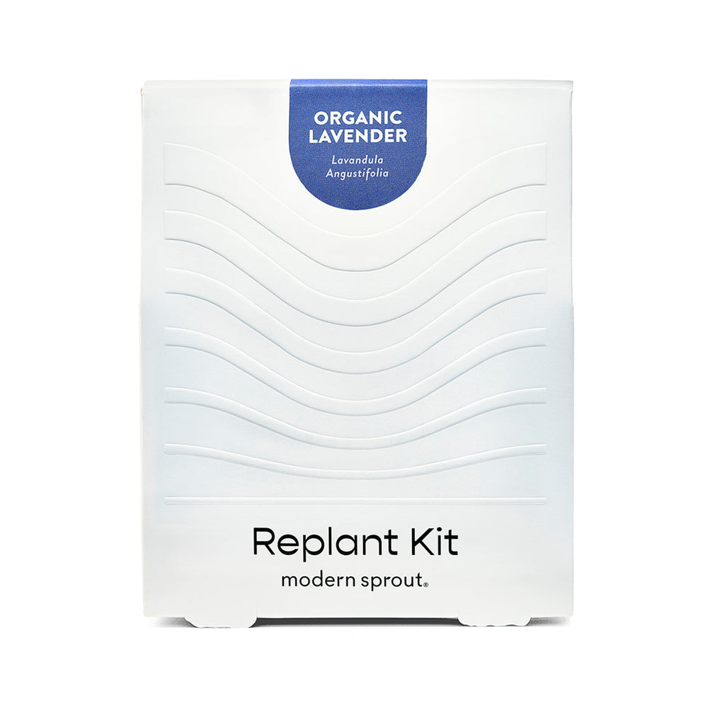 
                      
                        Immersion Hydroponic Replant Kit
                      
                    