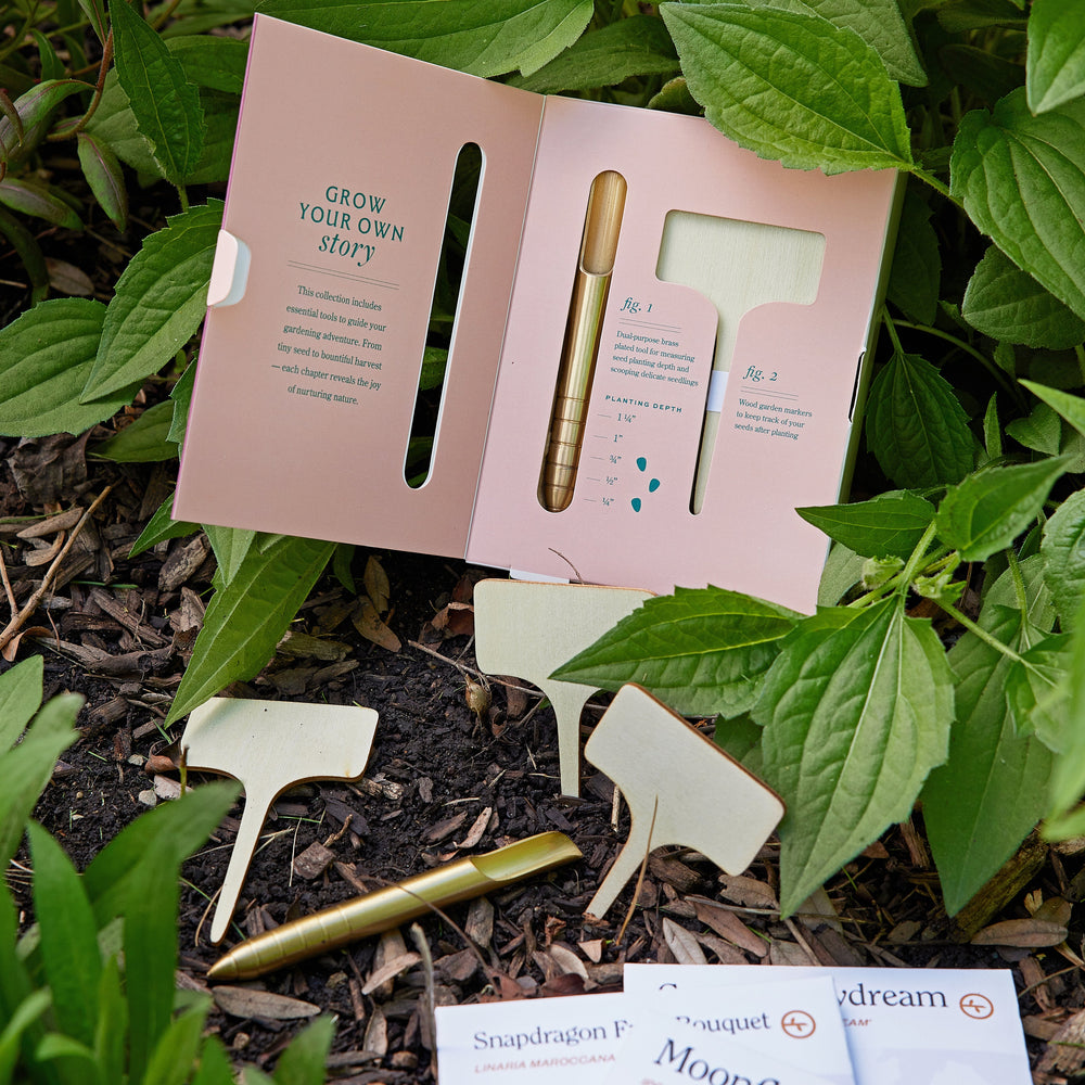 
                      
                        Seed Library
                      
                    