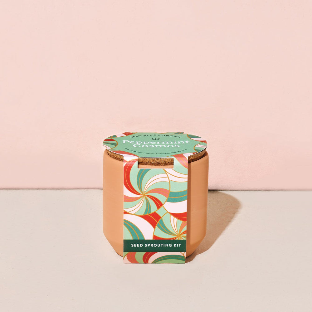 Tiny Terracotta Holiday Pots