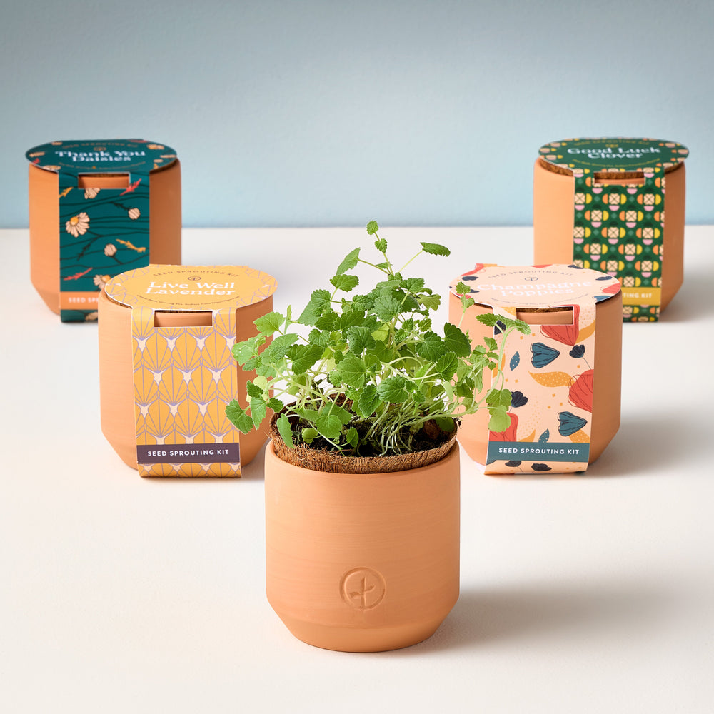 Tiny Terracotta Pots