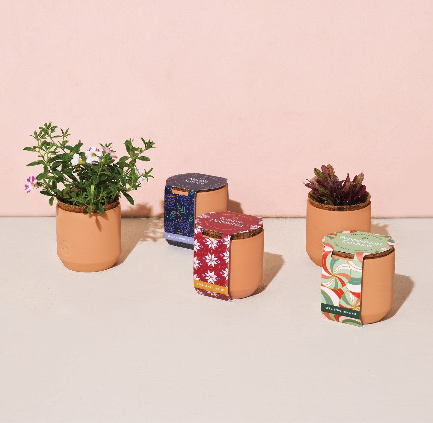 Tiny Terracotta Holiday Pots