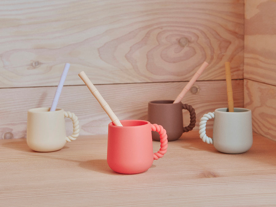 
                      
                        Bamboo Silicone Straw, Set of 6 - Cherry Red/Vanilla
                      
                    