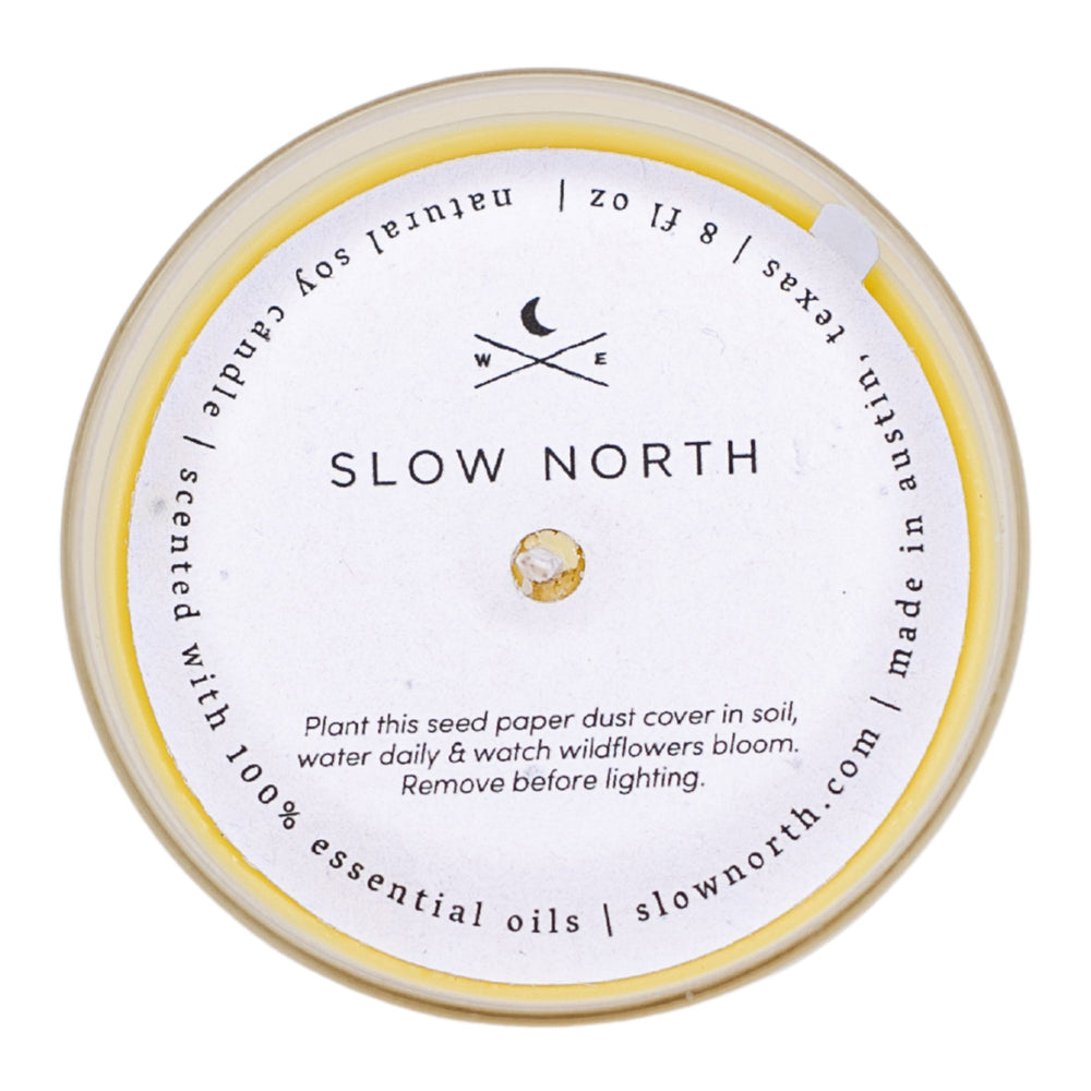 
                      
                        Hello Sunshine | Grapefruit + Geranium + Lime | Frosted Candle, 8 oz
                      
                    