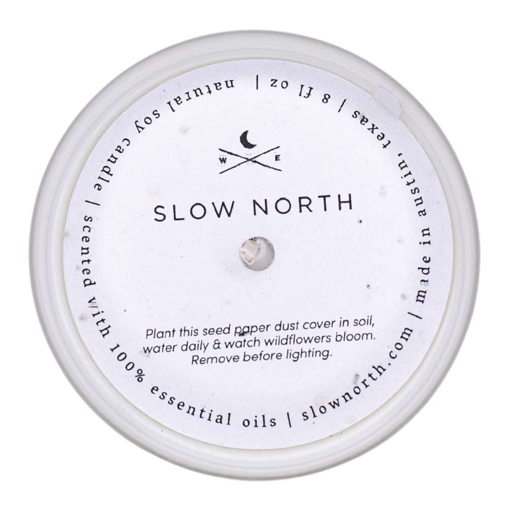 
                      
                        Midnight Garden | Lavender + Rosemary + Geranium | Frosted Candle, 8 oz
                      
                    