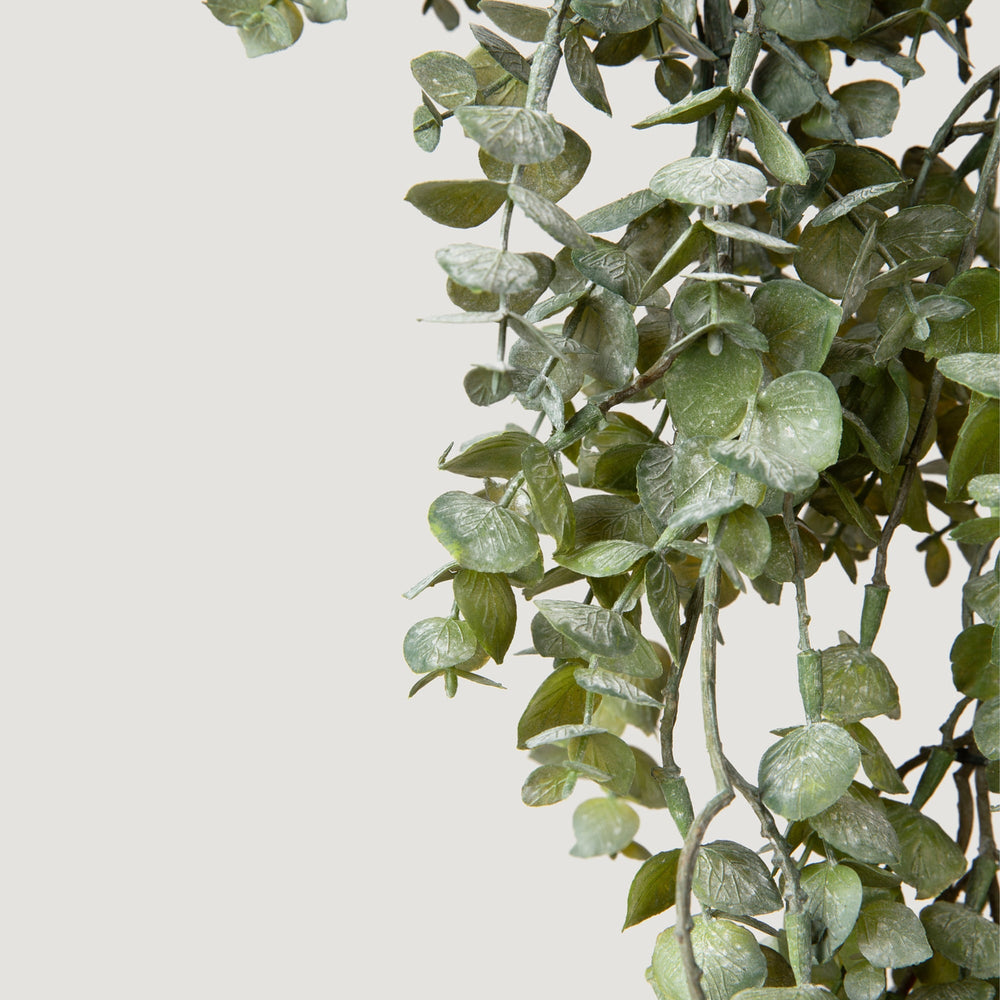 
                      
                        Large Faux Weeping Eucalyptus Hanging Bush - 32"
                      
                    