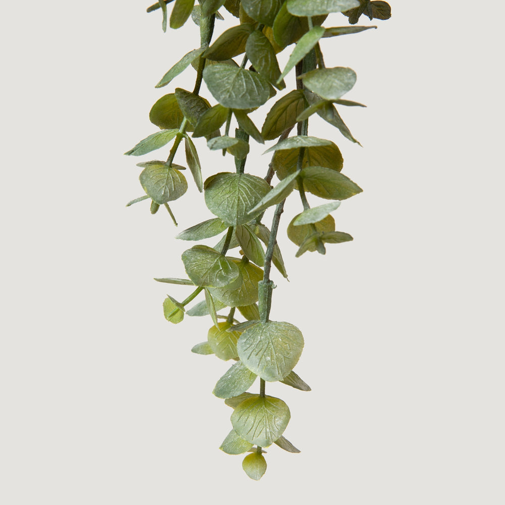
                      
                        Large Faux Weeping Eucalyptus Hanging Bush - 32"
                      
                    