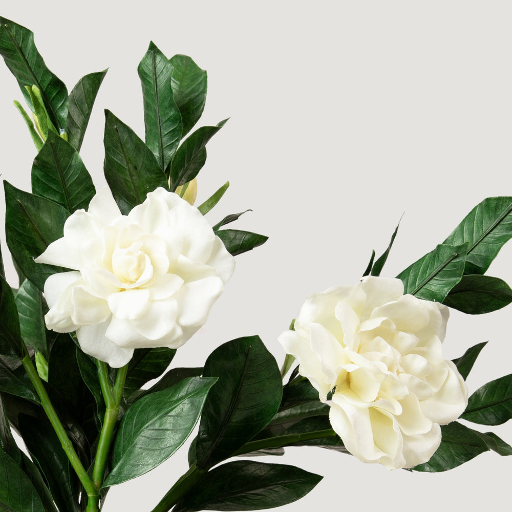 
                      
                        Deluxe Cream Artificial Gardenia Flower Branch - 19"
                      
                    