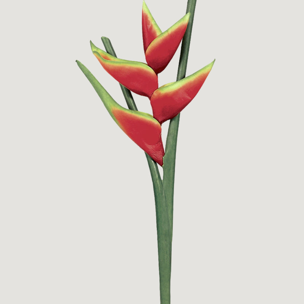 Faux Red Hawaiian Heliconia Tropical Flower - 34"