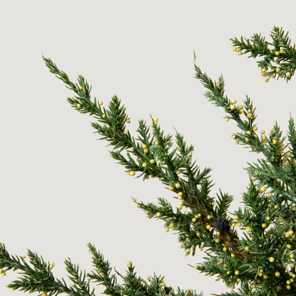 
                      
                        Artificial Evergreen Pine Branch - 37"
                      
                    