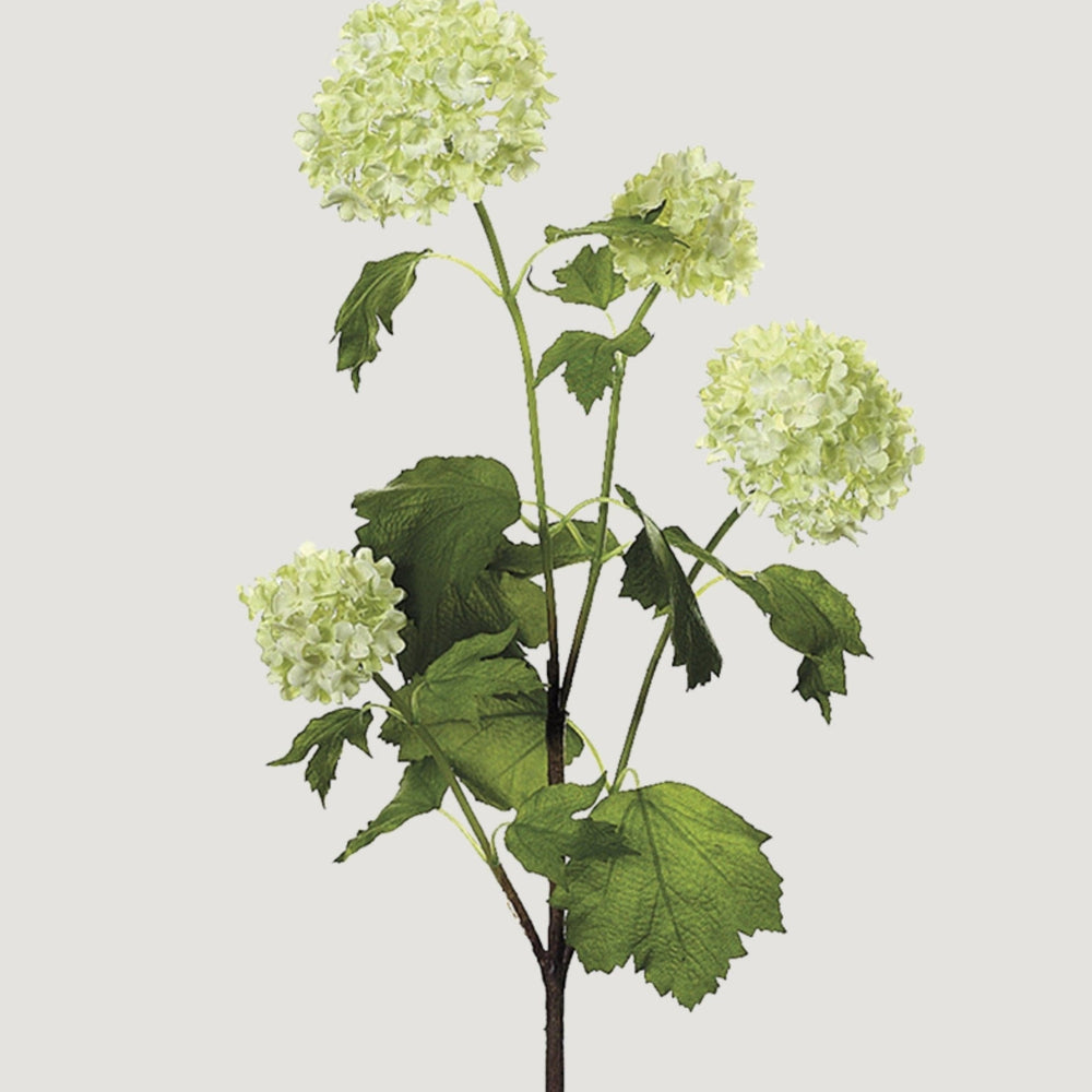 Green Cream Artificial Snowball Flowers - 24"
