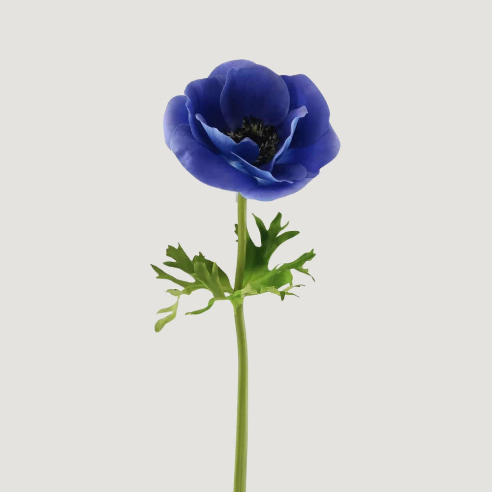 Blue Real Touch Poppy Anemone Flower - 17.5"