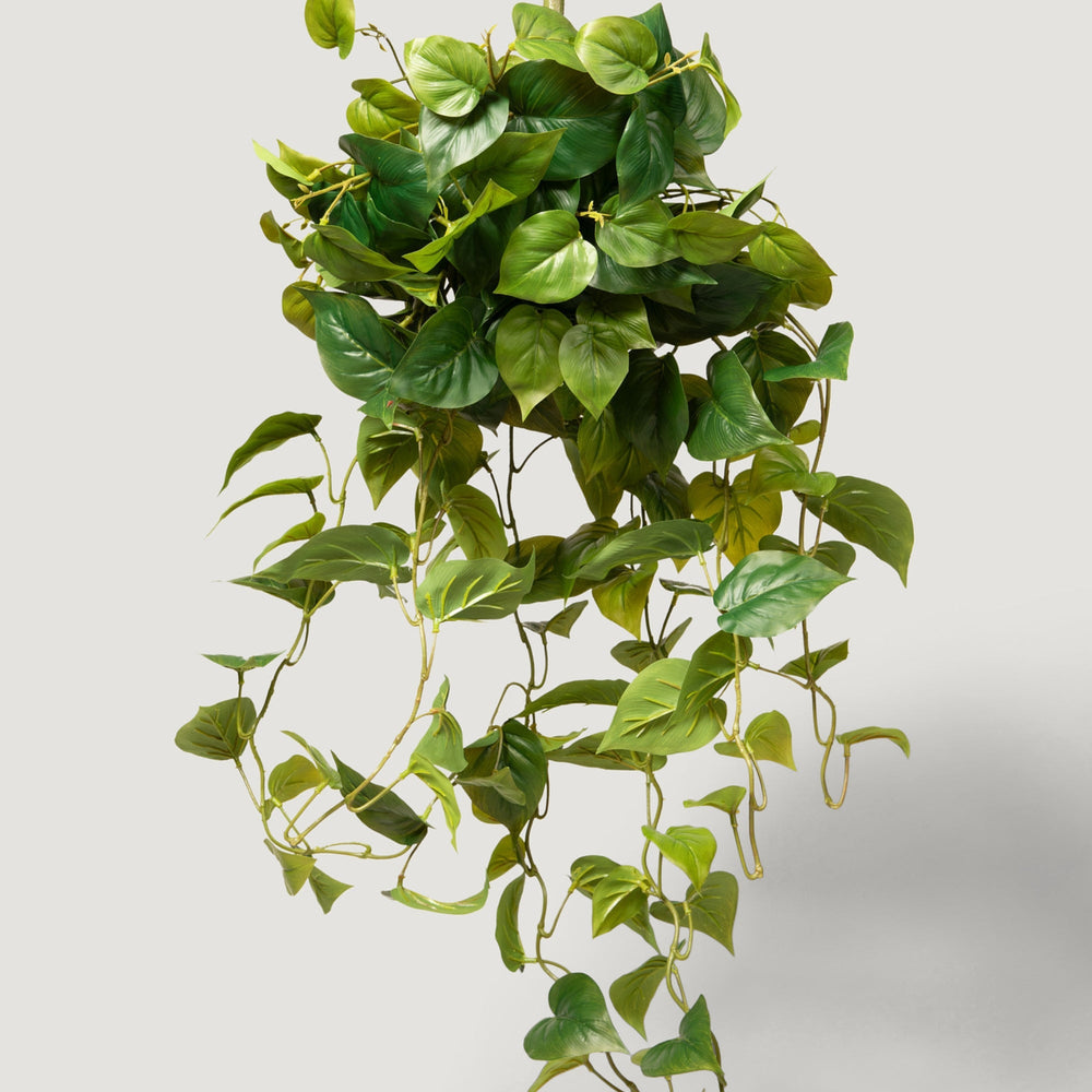 
                      
                        Real Touch Fake Philodendron Hanging Plant - 36"
                      
                    