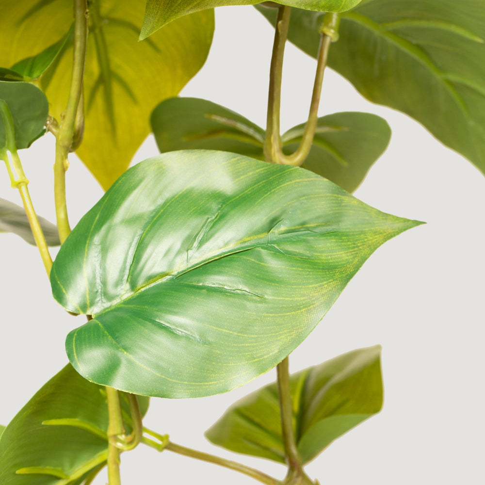
                      
                        Real Touch Fake Philodendron Hanging Plant - 36"
                      
                    