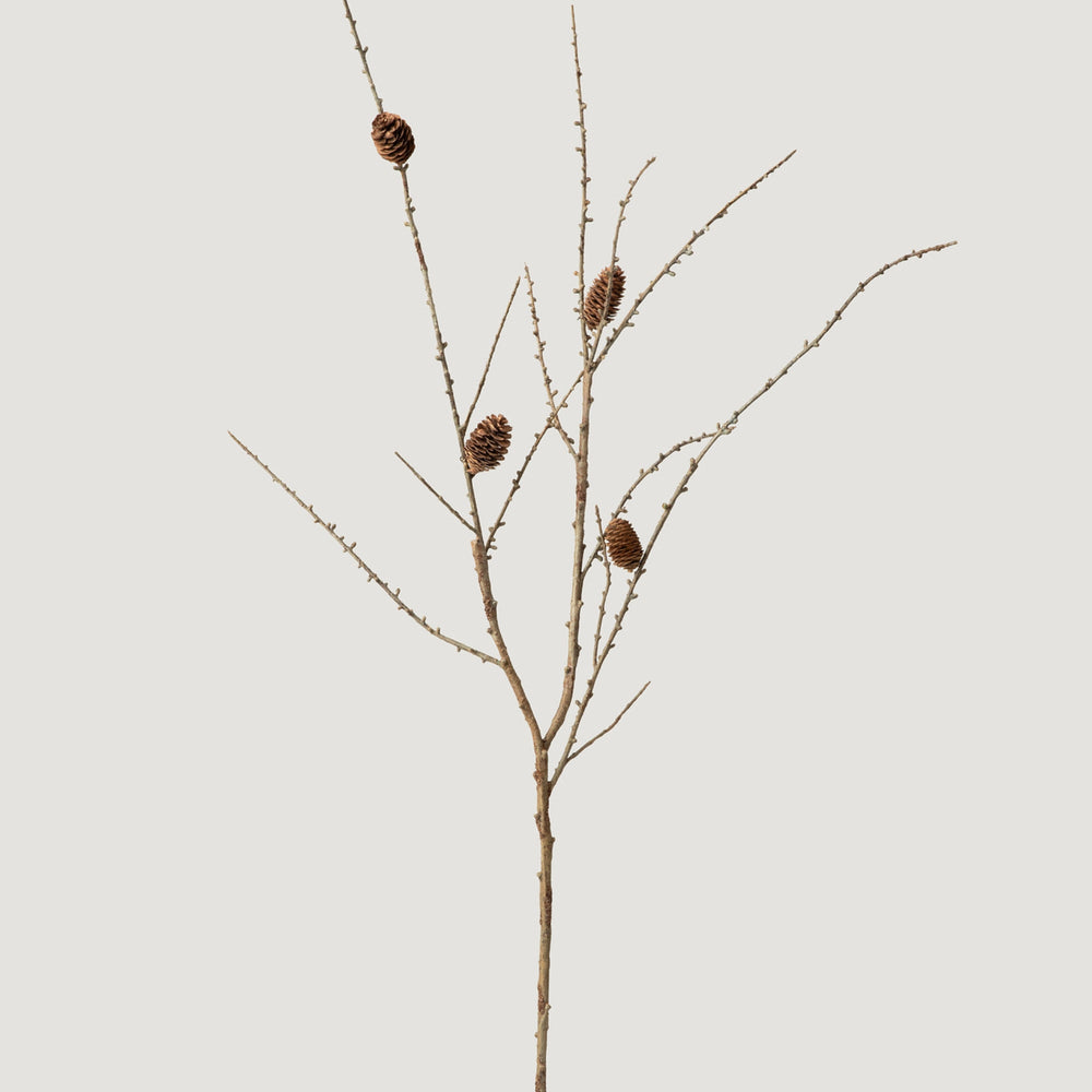 
                      
                        Faux Larch Branch with Pine Cones - 46"
                      
                    