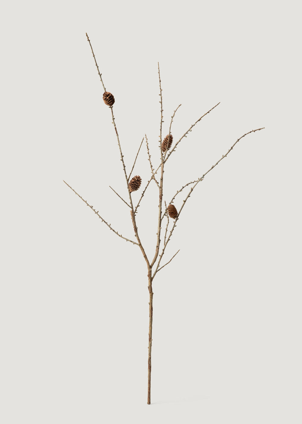 Faux Larch Branch with Pine Cones - 46