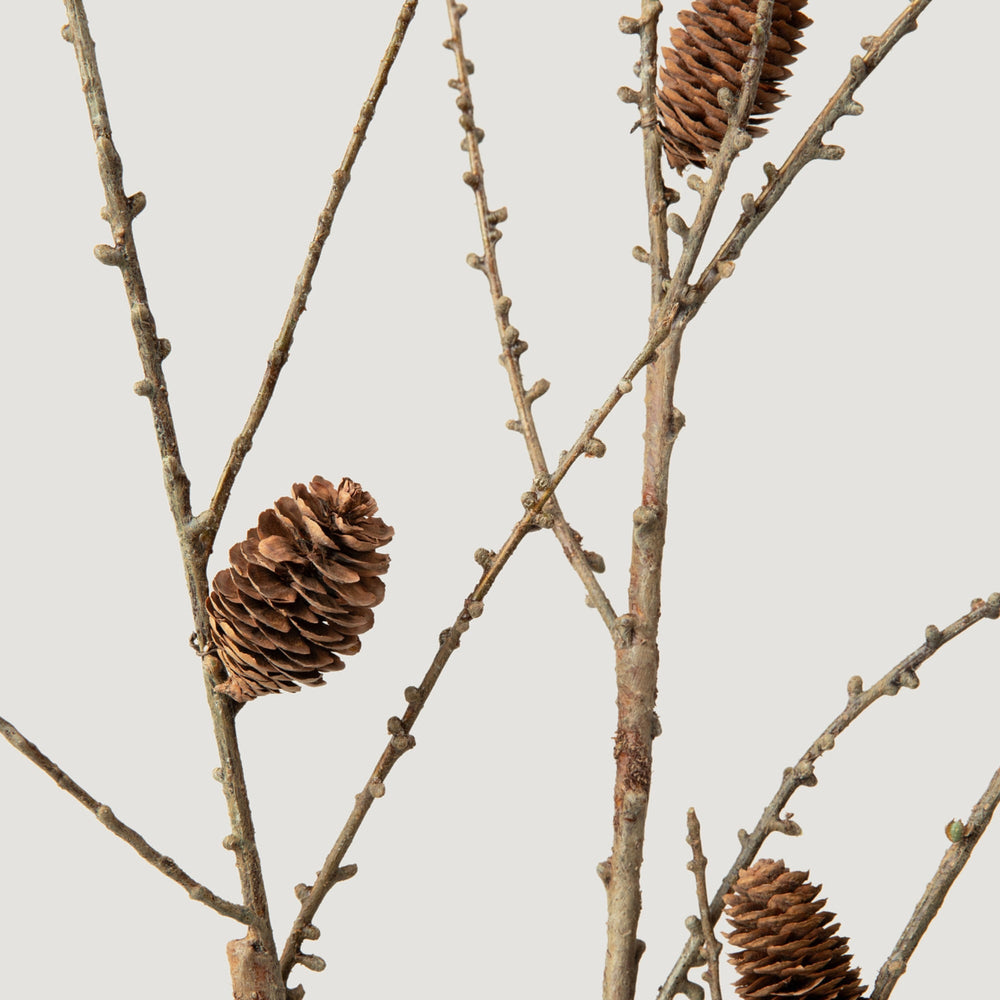 
                      
                        Faux Larch Branch with Pine Cones - 46"
                      
                    