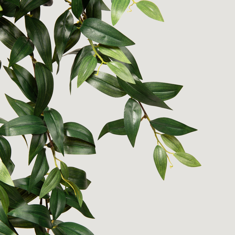 
                      
                        Fake Ruscus Leaf Hanging Plant - 31"
                      
                    