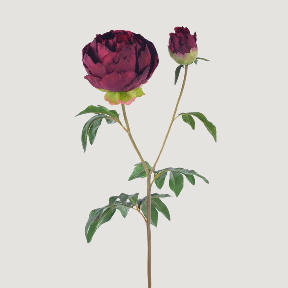 Burgundy Real Touch Peony - 27"