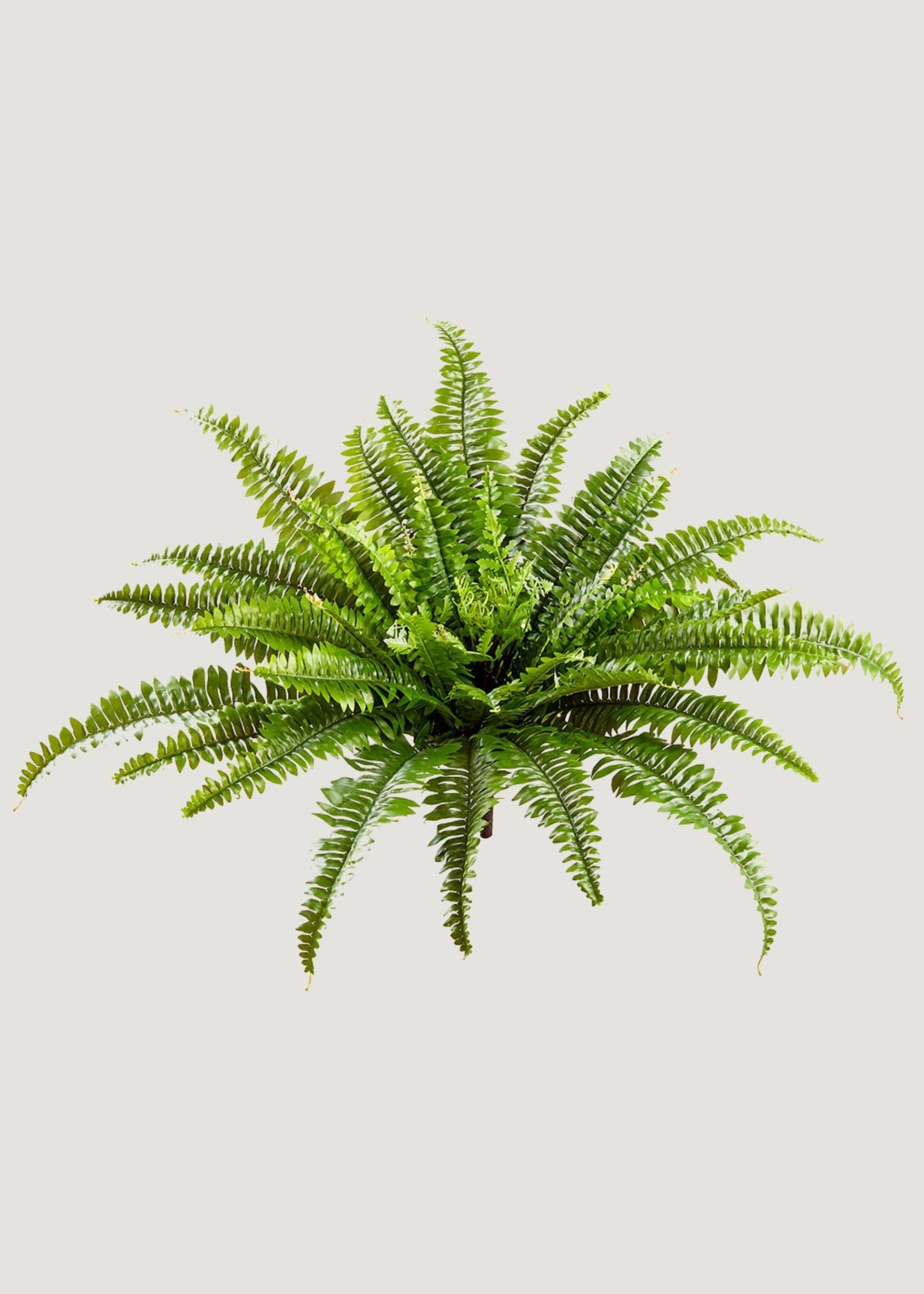 23-inch UV resistant faux Boston fern plant in lush green, perfect for indoor or outdoor decor by Afloral