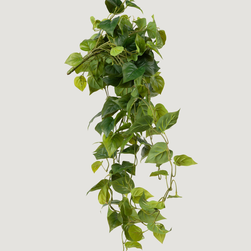 
                      
                        Real Touch Fake Philodendron Hanging Plant - 36"
                      
                    