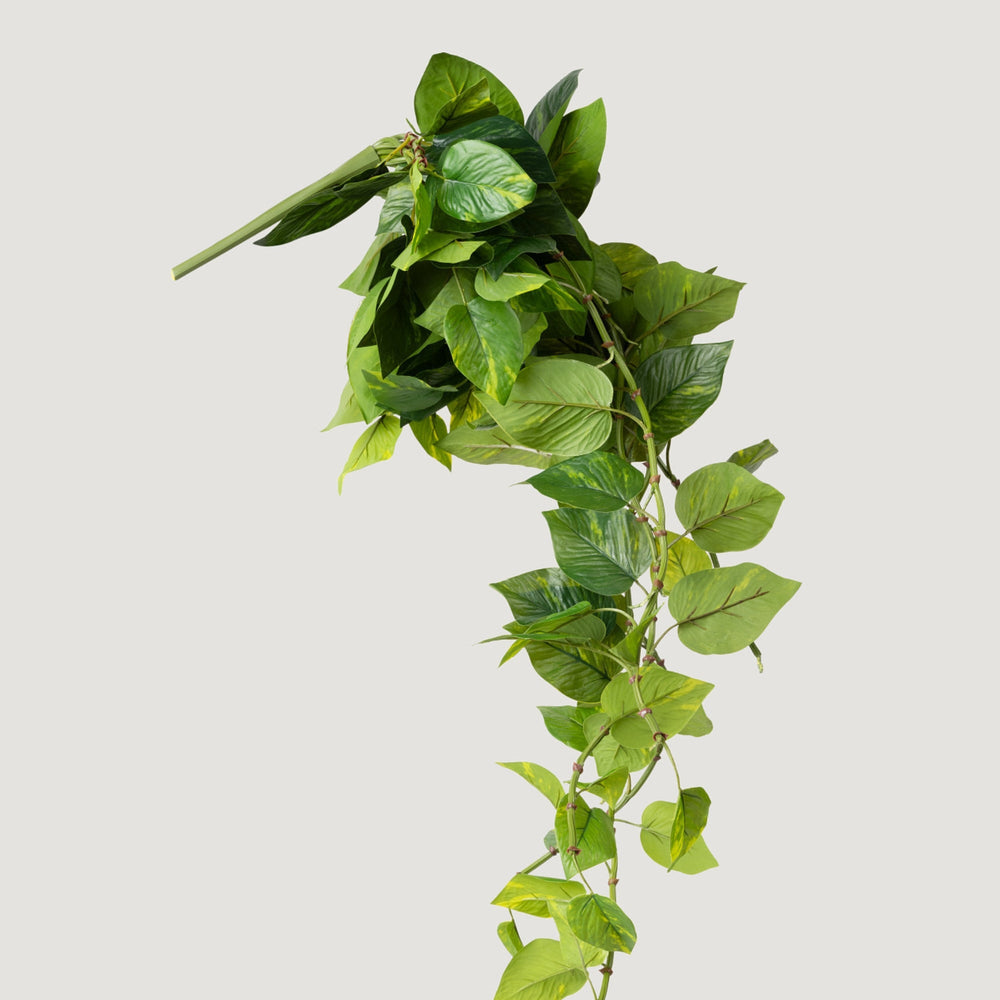 
                      
                        Natural Touch Pothos Artificial Plant - 48"
                      
                    